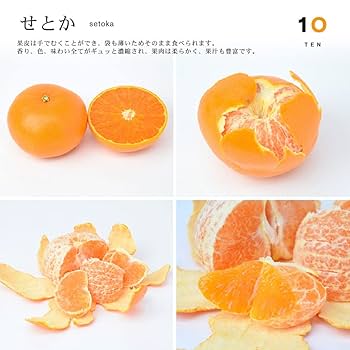 Amazon.co.jp: 10FACTORY 愛媛みかん 果汁100% 無添加